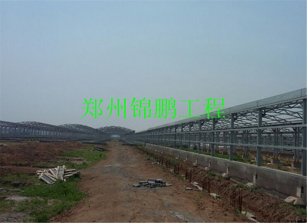 许昌现场